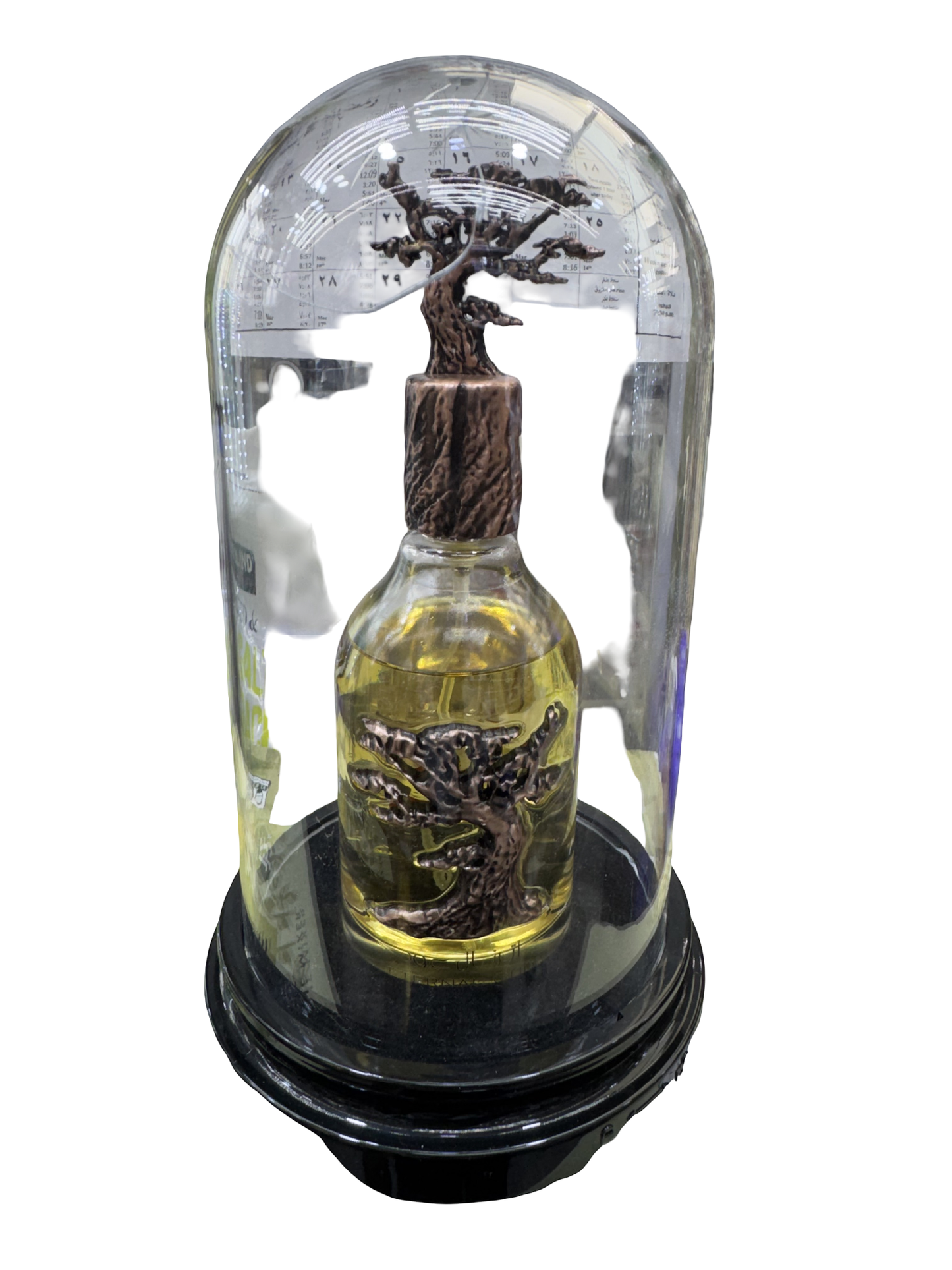 Ameer Al Oudh Tree Bottle Eau de Parfum